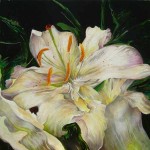 p_painting_1283_lilly-2-2