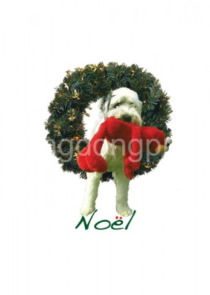 169-gin-elmo-noel-2