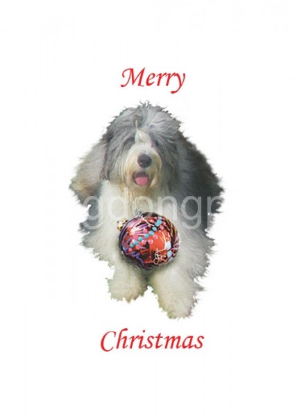 170-furry-dog-w-xmas-ball-2