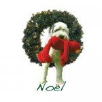 169-gin-elmo-noel-2